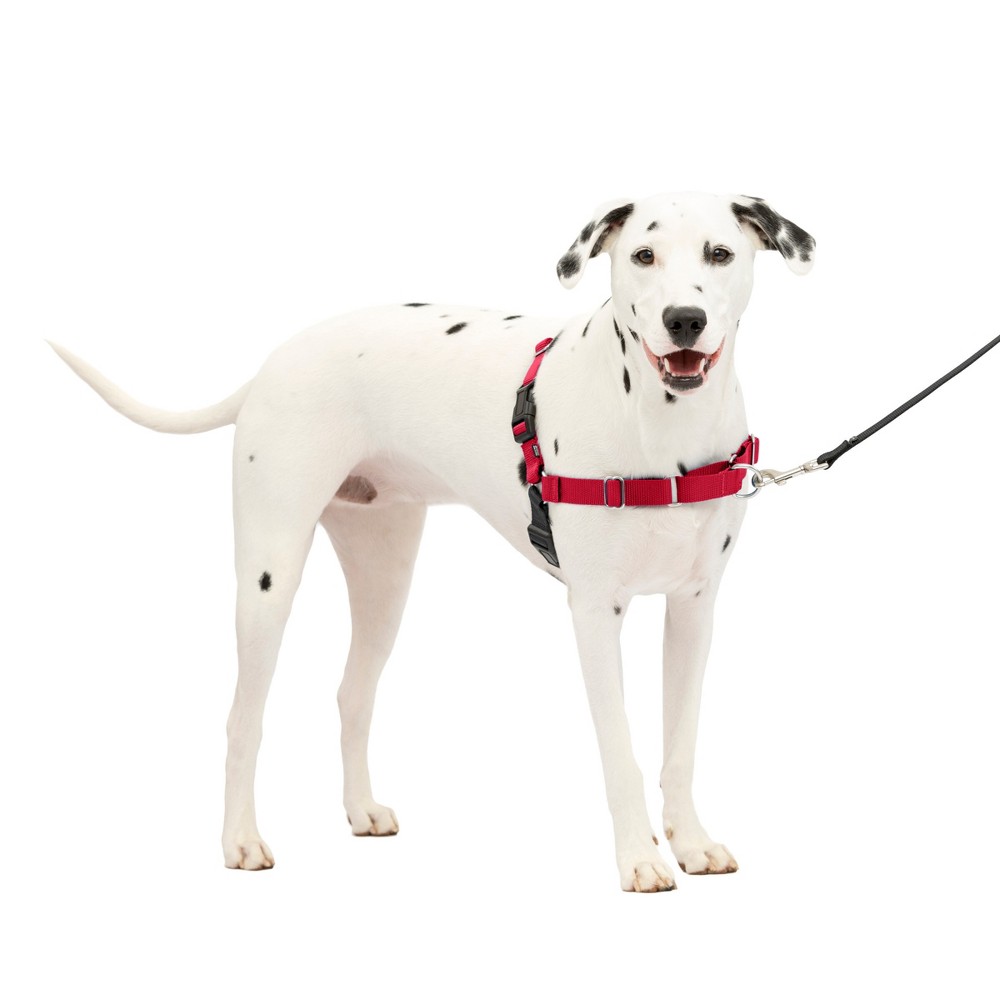 Photos - Collar / Harnesses PetSafe Easy Walk Adjustable Dog Harness - M/L - Red 