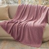 Bedsure Throw Blanket for Couch - Decorative Woven Throw Gifts with Tassels, Soft and Lightweight Farmhouse Blankets for Couch and Sofa - 2 of 4