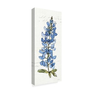 Trademark Fine Art -Anne Tavoletti 'Texas Bluebonnet Iii' Canvas Art - 1 of 4