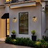 C Cattleya 10 in. Powder-coated Black Outdoor Wall Lantern Sconce with Clear Water Glass - 4 of 4