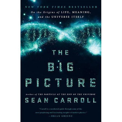  The Big Picture - by  Sean Carroll (Hardcover) 