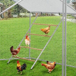 Chicken Roosting Perch, Chickens Roosting Bars for Coop, Easy to Assemble&Clean, Chicken Ladder - 1 of 4