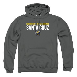 University of California-Santa Cruz Official Stacked Adult Pull-Over Hoodie - 1 of 4