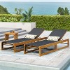 Christopher Knight Home Emile Outdoor Mesh and Acacia Wood Chaise Lounge - 2 of 4