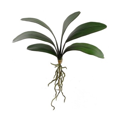 Floral Home 21" Phalaenopsis Leaf 6 Clusters Leaf - 12-Piece