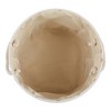 Bone Dry Polyester Pet Bin Paw/Bone - 2 of 4