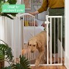 Summer by Ingenuity The Thruway 53W Series Gate - White - 2 of 4
