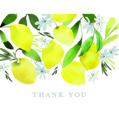 JAM Paper Everyday Thank You Card Sets Lemon Blossom 20 Cards and Envelopes 52611807713