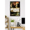Trends International Conquest of the Planet of the Apes (1972) - One Sheet Framed Wall Poster Prints - 2 of 4