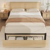 Whizmax King/Queen/Full Size Bed Frame with Rattan Headboard, Platform Bed Frame with 2 Storage Drawers, No Box Spring Needed, Easy Assembly, Natural - 2 of 4
