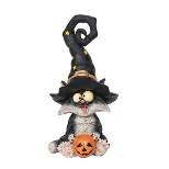 Gallerie II Cat with Black Hat Halloween Figure