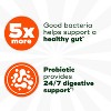 Align 5X Extra Strength Daily Probiotic Supplement - Capsules 21ct - 2 of 4