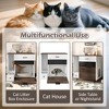 Bella Depot Indoor Hidden Cat Litter Box Furniture with 2 Drawers and Door - 4 of 4