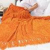 PAVILIA Chenille Throw Blanket with Woven Knitted Tassel Fringe for Couch, Living Room Decor and Bed - 4 of 4