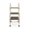 Cragin Contemporary 3 Shelf Circular Bookcase Black/Gold/Antique - Christopher Knight Home - 3 of 4
