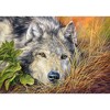 500 Piece Jigsaw Puzzle, Pure Soul, Animal puzzle, Wolf, Nature puzzle, Adult Puzzles, Castorland B-53285 - 2 of 4