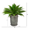 Nearly Natural 26-in Agave Succulent Artificial Plant in Vintage Metal Planter - 2 of 4