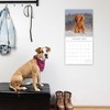 2026 Square Wall Calendar, Cocker Spaniels, 16-Month Paw Prints Theme with 180 Reminder Stickers (12x12 In) - 2 of 4
