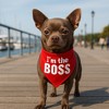 Parisian Pet 'I'm The Boss' Bandana for Dogs & Cats - Trendy, Comfortable, Funny Red Pet Bandana, Fashionable Dog & Cat Accessory - 3 of 4