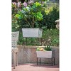 Gulches Set of 2 Zale Rustic Metal Planters with Stands - 3 of 4