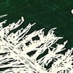 green white