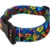 Country Brook Petz 1 1/2 Inch Deluxe Potpourri Dog Collar - image 2 of 4