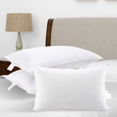 King Size White Hypoallergenic Polyester Pillows Set of 2