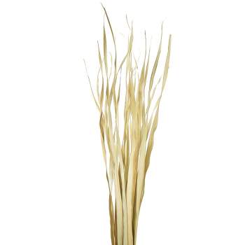 Vickerman Rush Grass, Dried 7oz