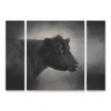 Jai Johnson 'Portrait Of The Black Angus' Multi Panel Art Set Large 3 Piece - 2 of 3