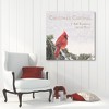 Courtside Market Christmas Cardinal 30x30 Gallery-Wrapped Canvas - 2 of 4