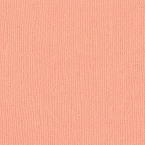 Bazzill Mono Cardstock 12"X12" - 1 of 1