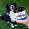 Hemp Well Hip & Joint Dog Soft Chews for Comfort and Mobility - 3 of 4