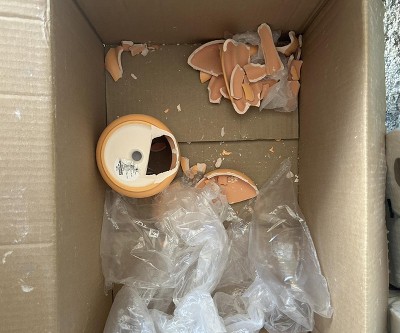 Guest review image 2 of 2, zoom in