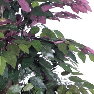 6' Luxe Silk Capensia Tree in Dark Brown Rattan Basket