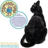 Boone The Black Cat - 13 Inch Stuffed Animal Plush - By Viahart - 3 of 4