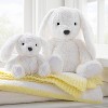 Bunny Plush Animal With Mini Plush Bunny Stuffed Animal Toy - 2pc - Cloud  Island™ : Target