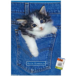 Trends International Keith Kimberlin - Kitten - Pocket Unframed Wall Poster Prints - 1 of 4