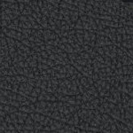 antoine winfield jr.