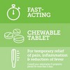 Vetality Canine Aspirin for Dogs, Fast Pain Relief, Large Dogs, 120 Chewable Tables, Liver Flavor - 3 of 4