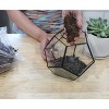 Soil Sunrise 8qt Succulent Potting Soil Mix, Custom Blend - 4 of 4