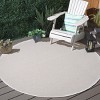 Sisal All-Weather SAW642 Power Loomed Indoor/Outdoor Rugs - Safavieh - 2 of 4
