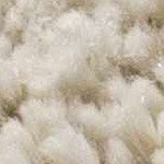 light peach, gray, medium brown