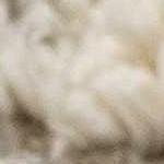 light peach, gray, medium brown