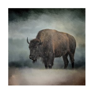 Trademark Fine Art -Jai Johnson 'Stormy Day Buffalo' Canvas Art - 1 of 4