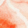 orange/ivory
