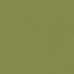 fern green