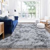 LOVEVOOK Area Rugs for Bedroom, Non-Slip Fluffy Soft Shag Carpet, Living Room Plush Rug for Home Dorm Decor Aesthetic - 4 of 4