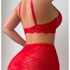 Clotth Women's Christmas Lingerie Set - Embroidered Sheer Bodysuit with Mini Skirt, Thong and Stockings, Elegant Nightwear Babydoll Lingerie, Red - L - 2 of 4