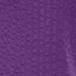 purple orchid