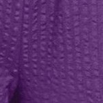 purple orchid